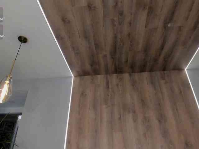 AbellaCroft webcam