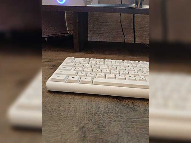 Viktory777 live webcam show