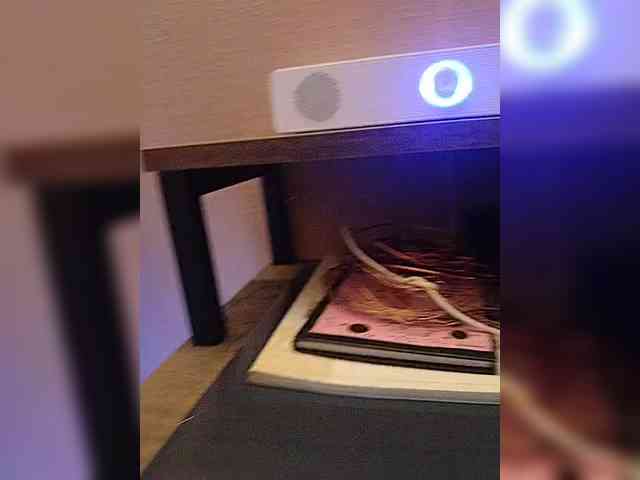 Want_me webcam