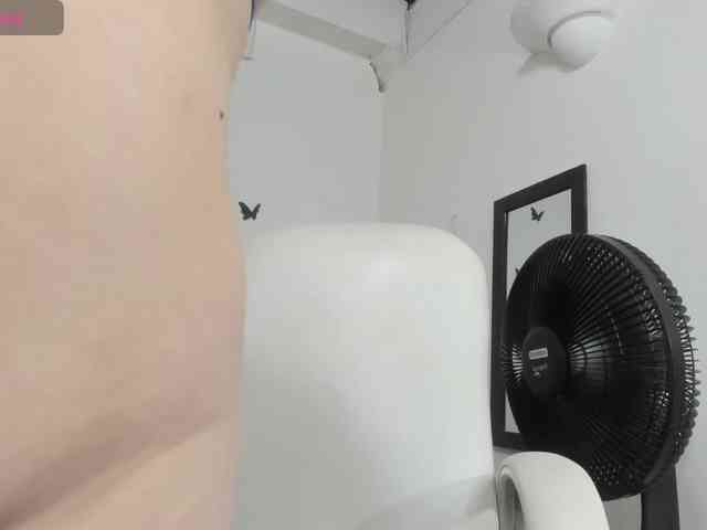 Evil-neighbor webcam