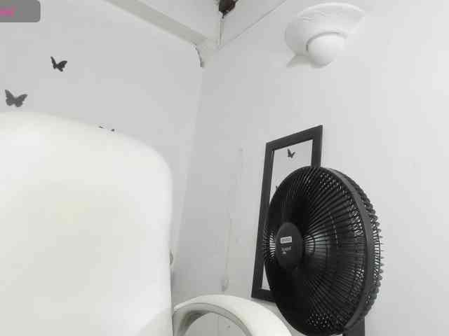 Evil-neighbor webcam