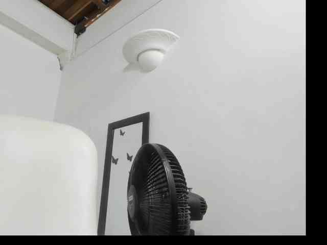 Evil-neighbor webcam