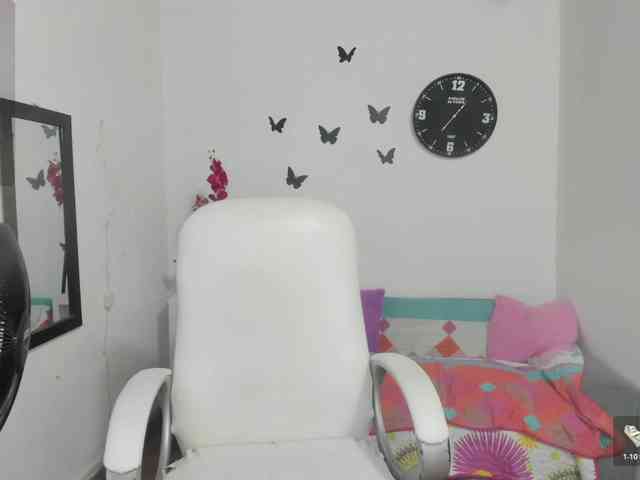 Evil-neighbor webcam