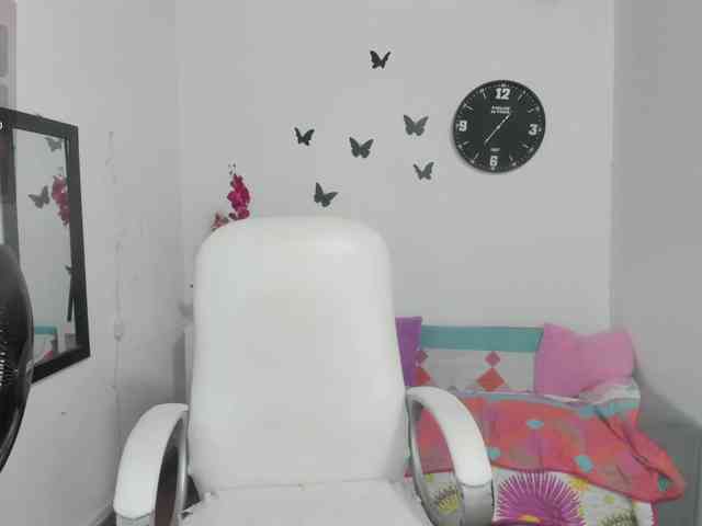 Evil-neighbor webcam