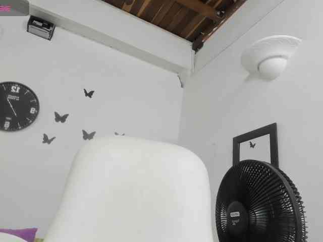 Evil-neighbor webcam