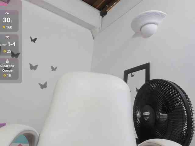 Evil-neighbor webcam