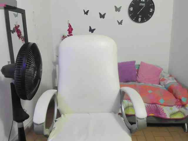 Evil-neighbor webcam