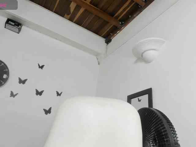 Evil-neighbor webcam