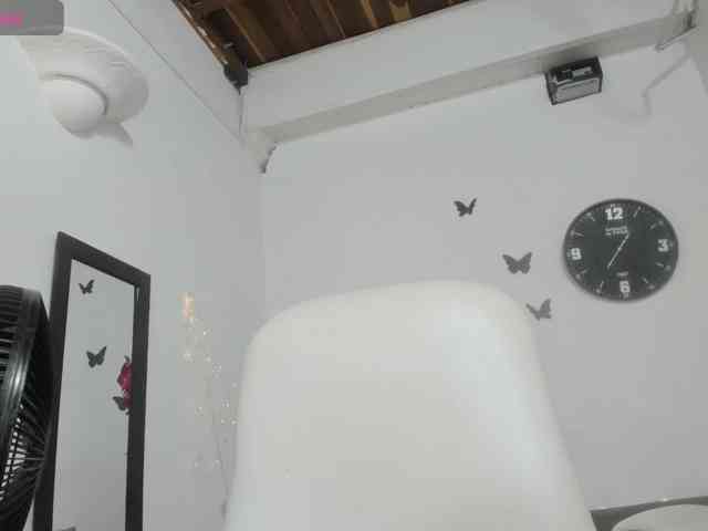 Evil-neighbor webcam