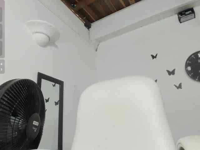 Evil-neighbor webcam