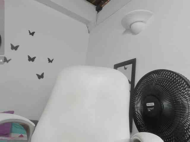 Evil-neighbor webcam