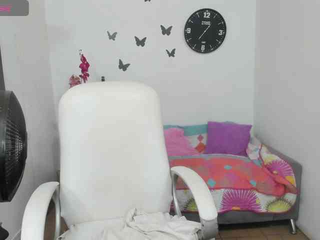 Evil-neighbor webcam