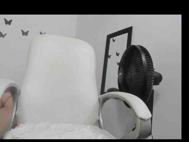 Evil-neighbor webcam
