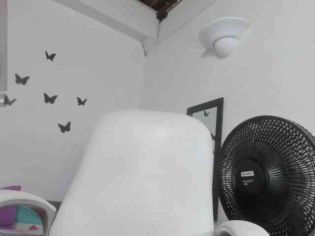 Evil-neighbor webcam