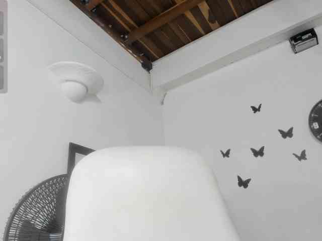 Evil-neighbor webcam