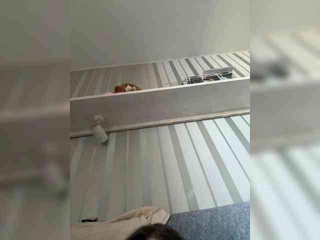 Dream022 webcam