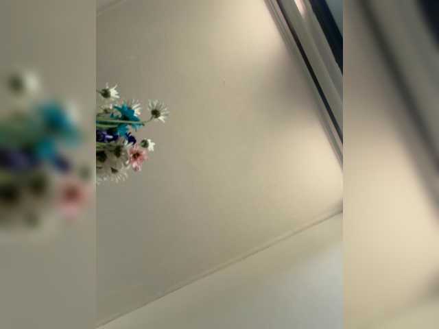 TinyRouse Live Cam and Statistics on UnifiedCams