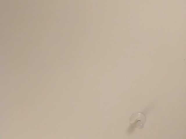 TinyRouse's BongaCams show and profile