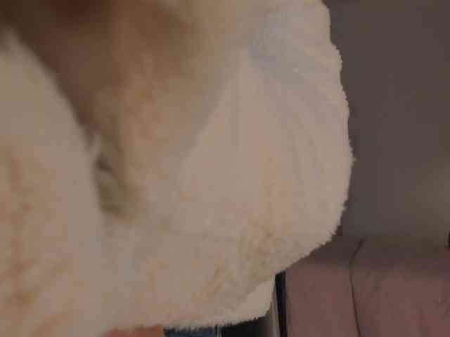 Tinny111 webcam