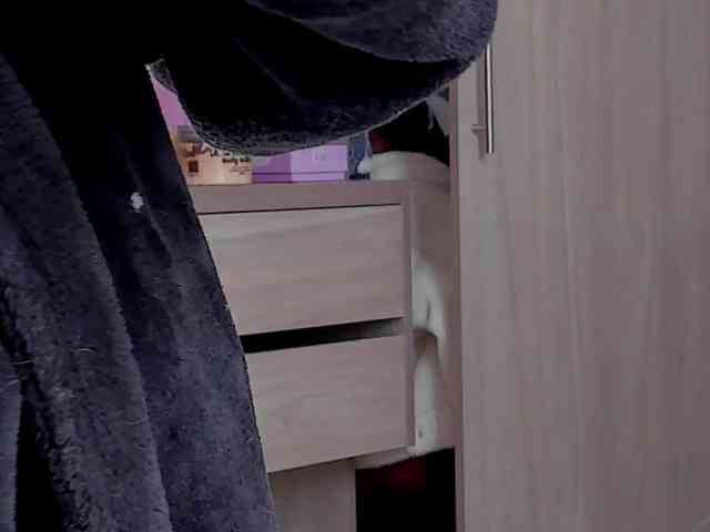 Tinny111 webcam