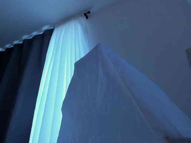 Tinny111 webcam