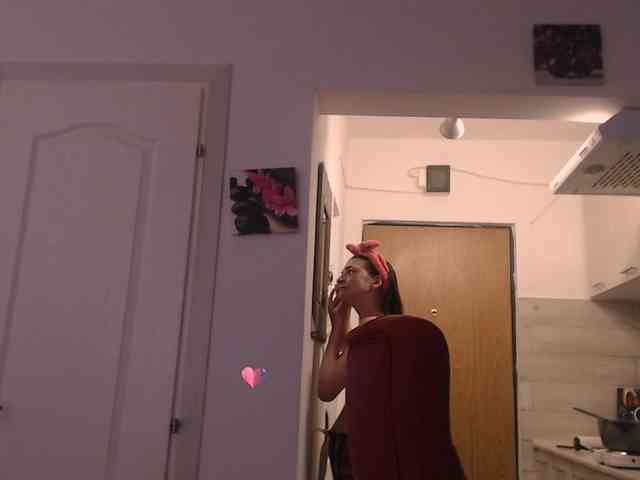 Simyhvn webcam