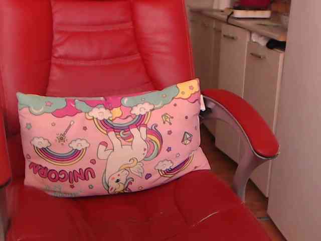 Simyhvn webcam