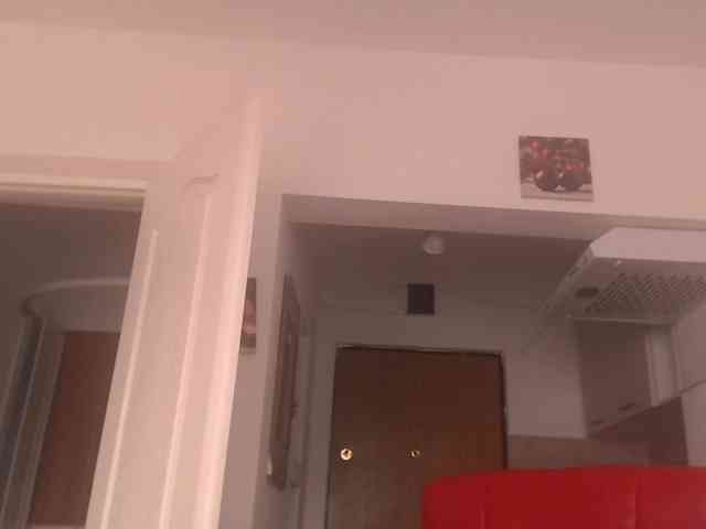 Simyhvn webcam