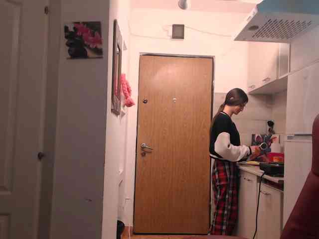 Simyhvn webcam