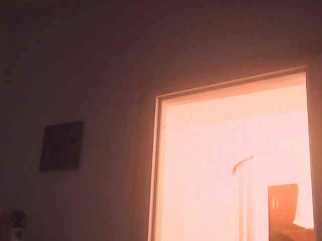 Simyhvn webcam
