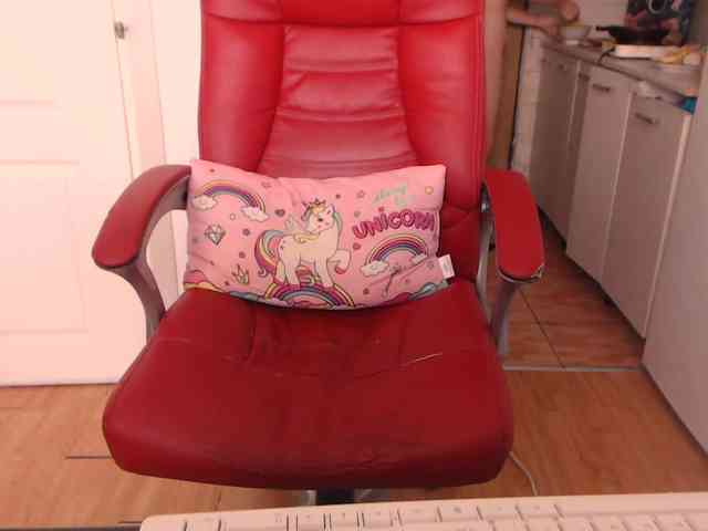 Simyhvn webcam