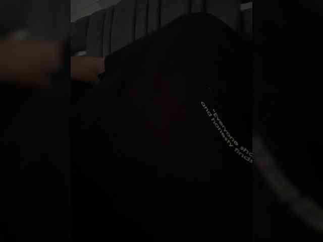 IrisEvans webcam