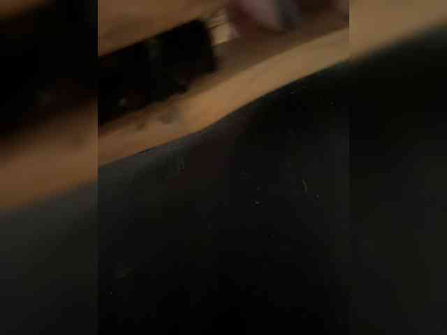 IrisEvans webcam