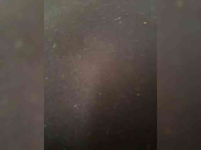IrisEvans webcam