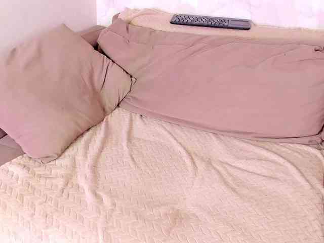 Eva-Merlin webcam