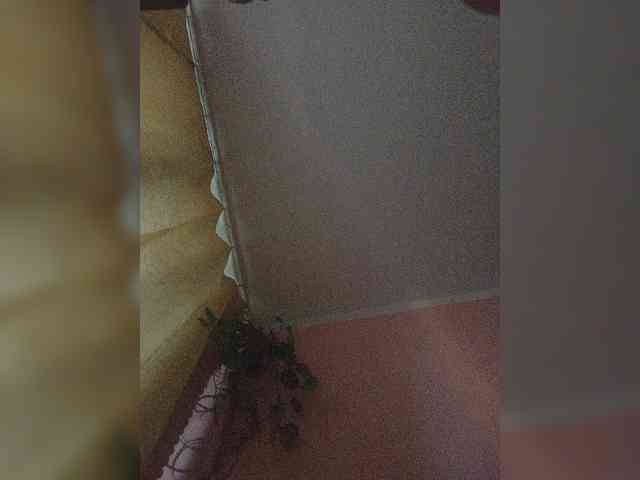 124GreeN421 Sex Cam Show