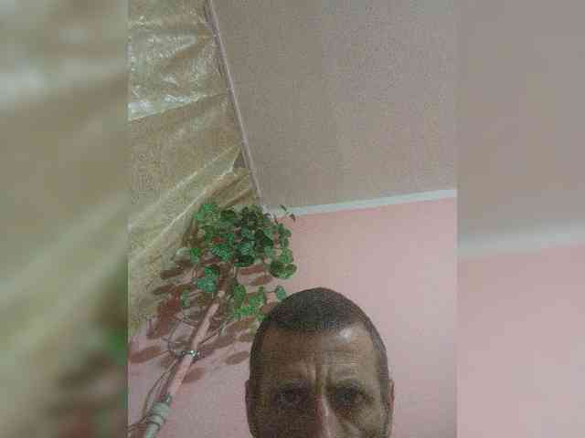 124GreeN421