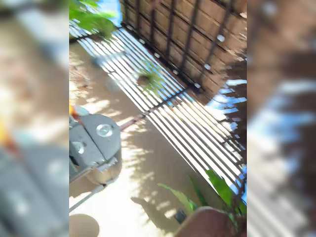 --sativa-- online