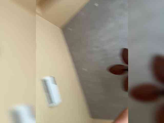 -SATIVA- webcam