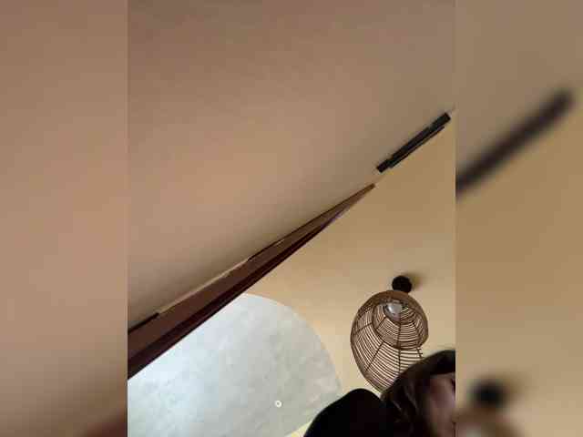 -SATIVA- webcam