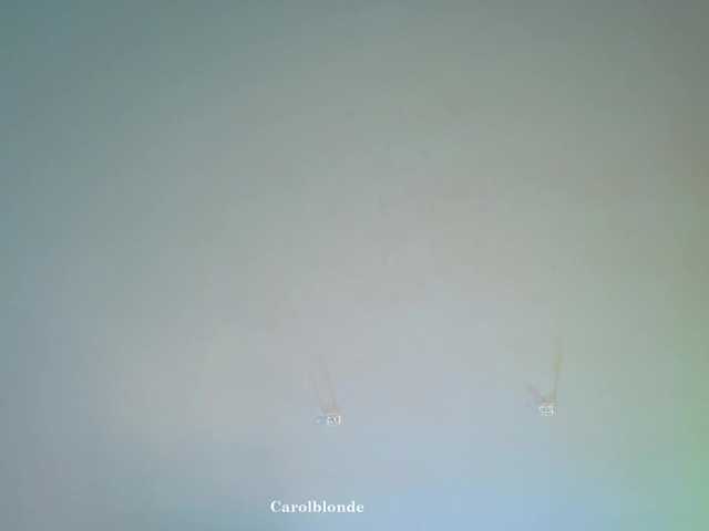 Preview of carolblonde