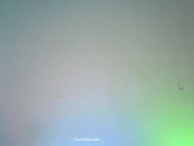 Preview of carolblonde