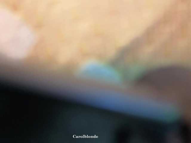 Preview of carolblonde