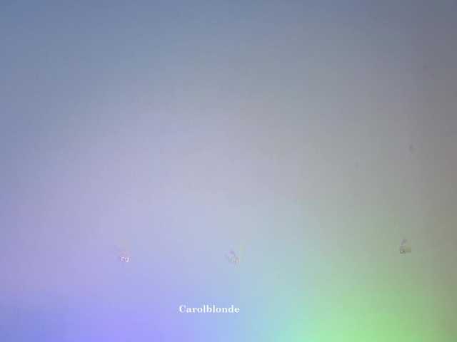 Carolblonde live webcam show