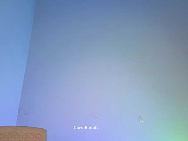 Charlotte-glasses live cam on BongaCams