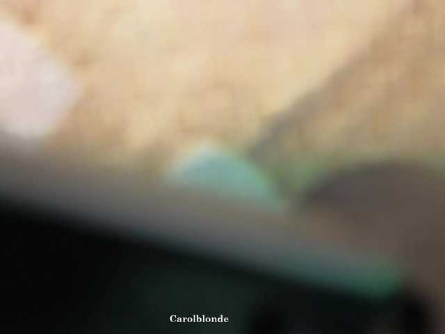 Preview of carolblonde