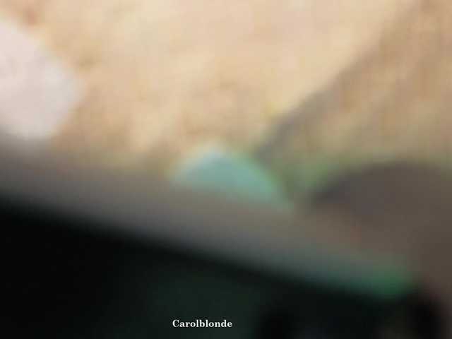 Preview of carolblonde