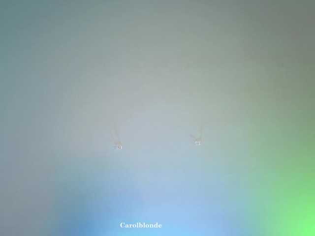 Preview of carolblonde