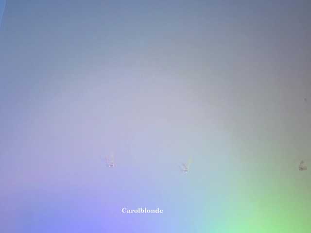 Charlotte-glasses live cam on BongaCams