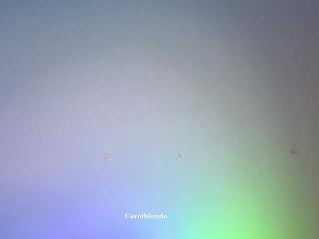 Charlotte-glasses live cam on BongaCams